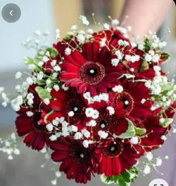 O estilo de casamento da Sofia 3