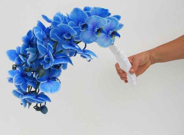 Natural com orquídea phalaenopsis azul