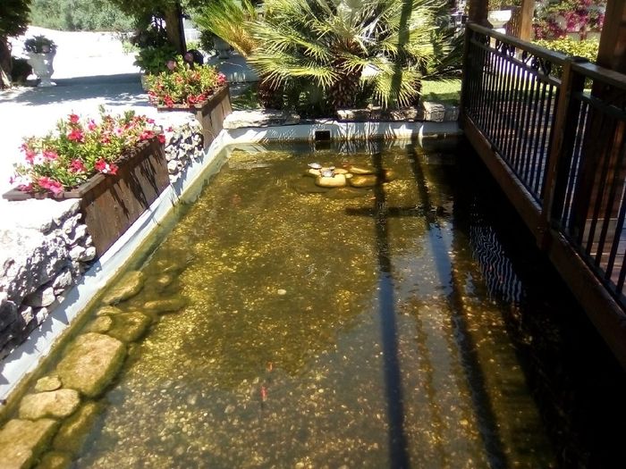 Alguém me pode explicar como funciona o pagamento de uma quinta? 3