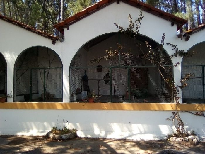 Alguém me pode explicar como funciona o pagamento de uma quinta? 8