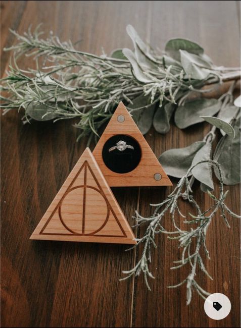e se o meu casamento fosse… temático de Harry Potter - 6