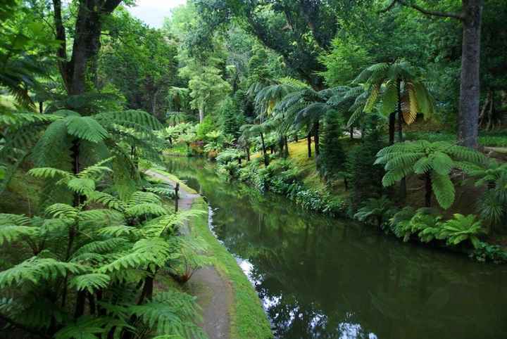 Visitar o Parque Terra Nostra