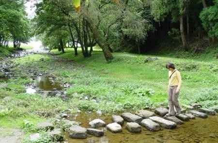 Fazer o trilho à volta da lagoa