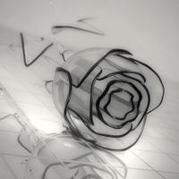rosa vidro