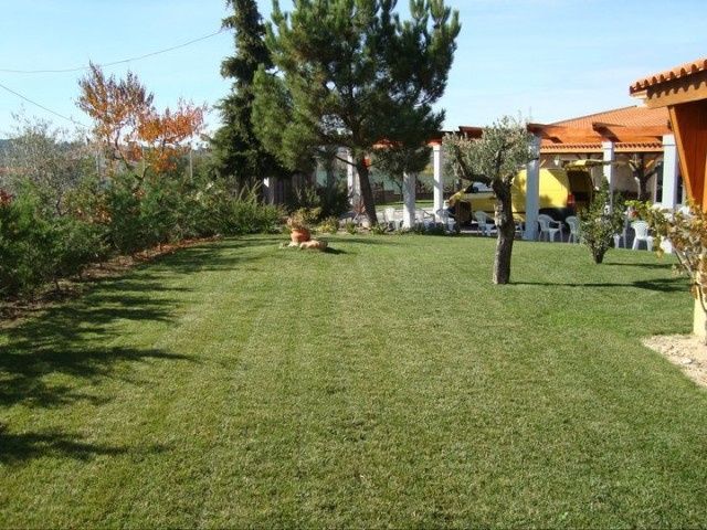 Quinta
