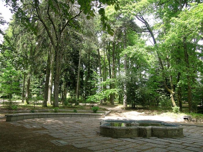 Parque