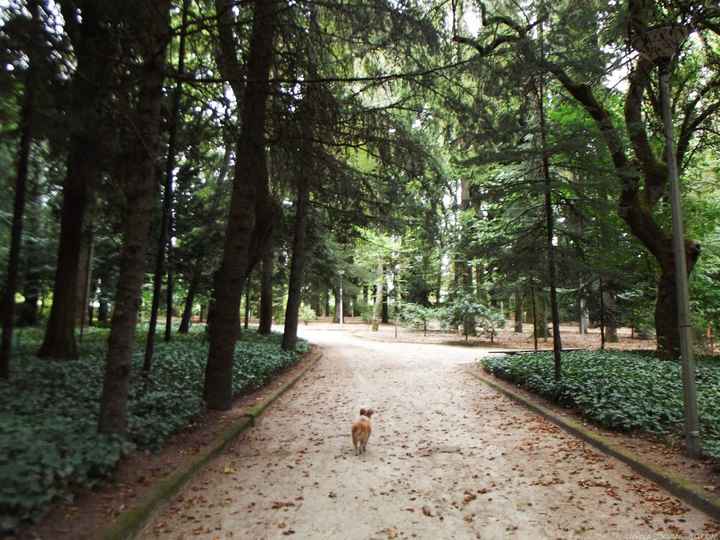 Parque