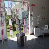 Cor para o grande dia ... - 4