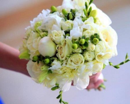 Flores