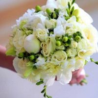 Flores