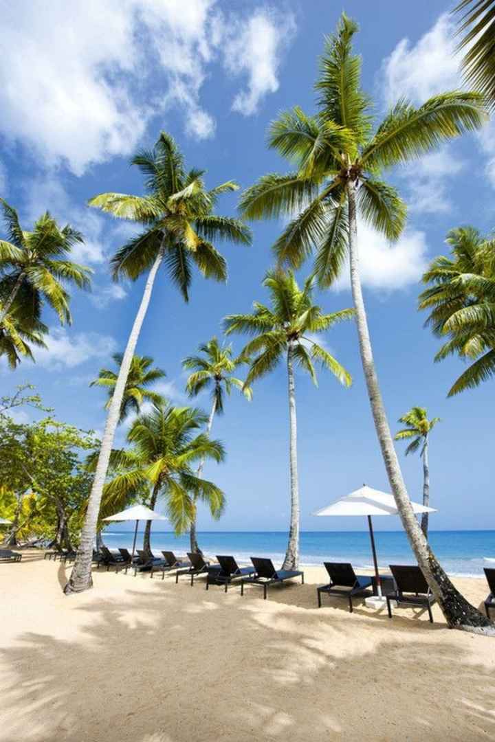 Inspiracao Lua de Mel: República Dominicana!! - 14