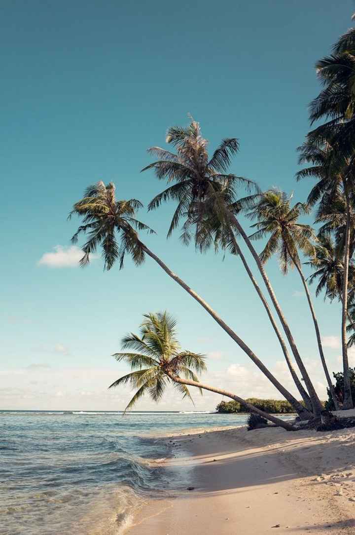 Inspiracao Lua de Mel: República Dominicana!! - 17