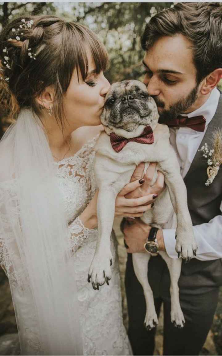 Inspiracoes de fotos com o nosso amigo de 4 patas!!! - 3