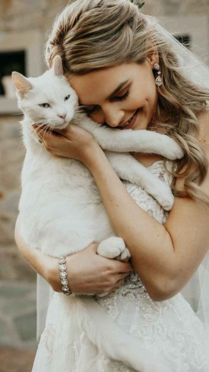 Inspiracoes de fotos com o nosso amigo de 4 patas!!! - 9