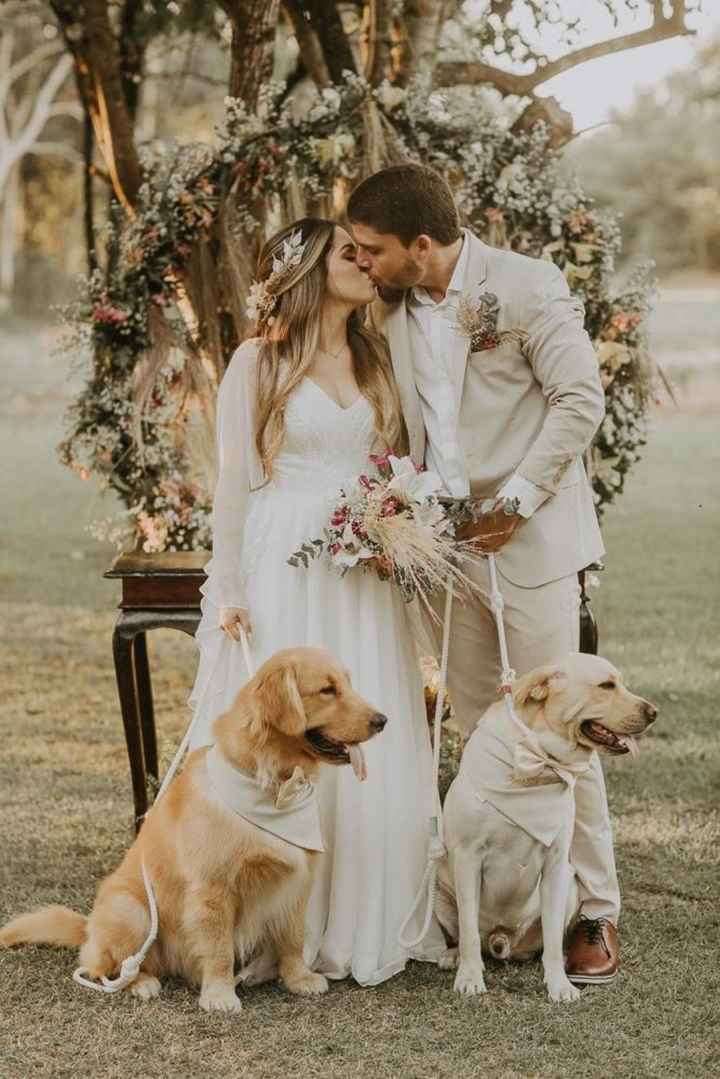 Inspiracoes de fotos com o nosso amigo de 4 patas!!! - 15