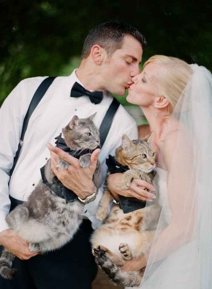 Inspiracoes de fotos com o nosso amigo de 4 patas!!! - 17