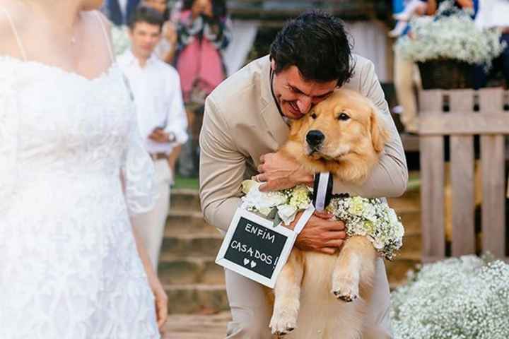 Inspiracoes de fotos com o nosso amigo de 4 patas!!! - 19