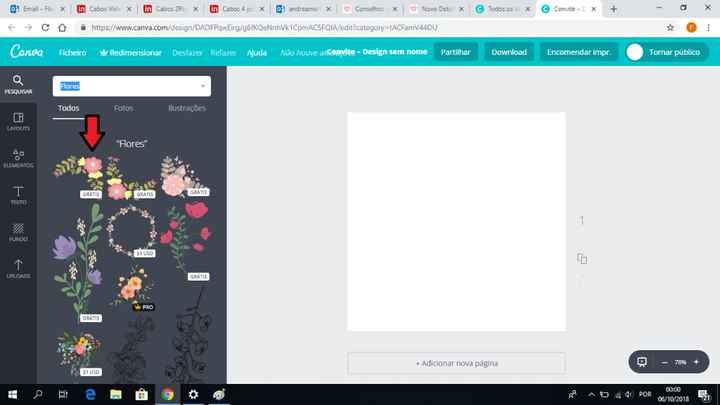Neste exemplo que vos apresento coloquei a palavra "flores", carregam em "Enter" e irá aparecer-vos 