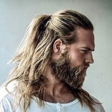 Cabelo 3