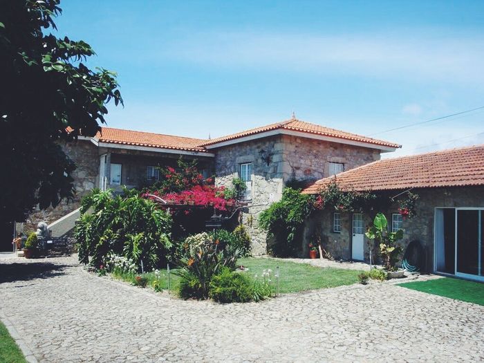 A nossa quinta - quinta do castanheiral - 1
