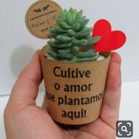 Apaixonei-me por...estas lembranças! ❤️ - 1