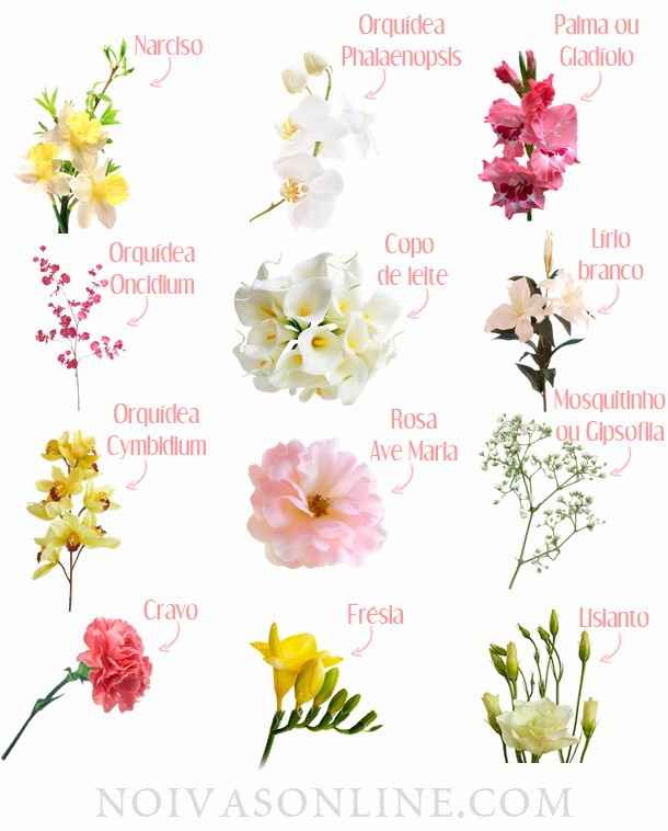 Algumas Flores