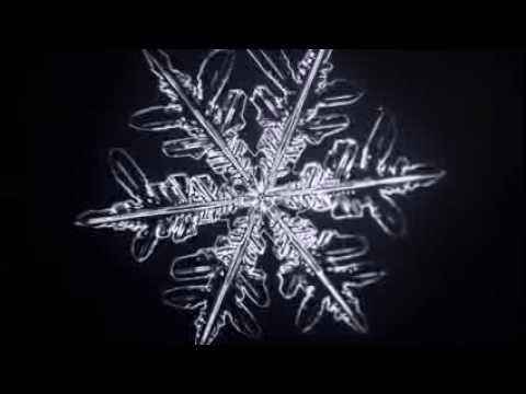 Floco de neve
