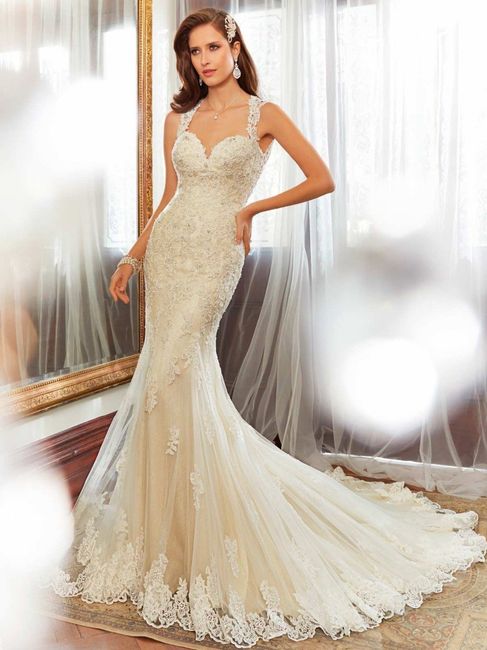 8- Vestido Sophia Tolli