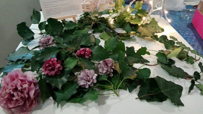 últimos checks ✅  a 52 dias!  Help😧 - 17