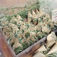 Cones com folhas