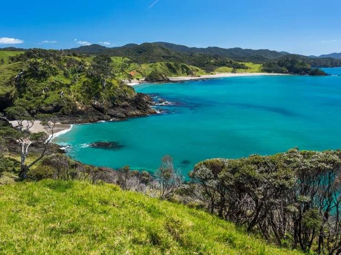 Carona + Queria minha medalha de noiva viajada 👰✈️🏅 - 1