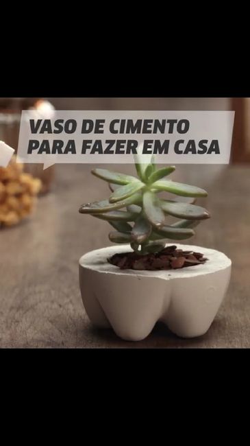 Ideias para oferta suculentas - 1