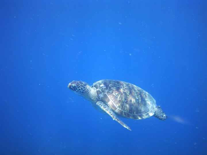 a nossa Lua de Mel - Bali e Gili - 27