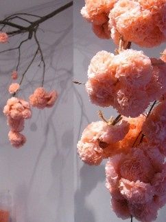 Pompom de papel