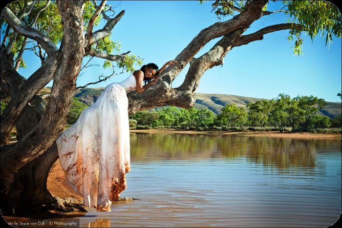 trash the dress