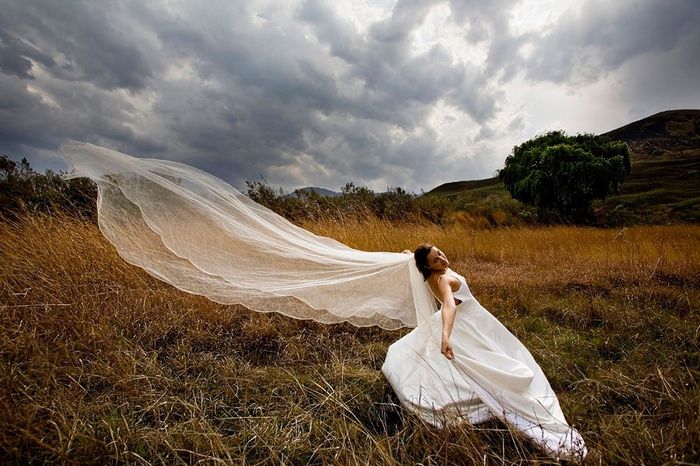 trash the dress