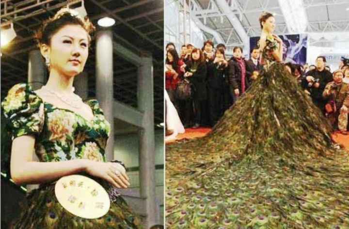 Vestido de Pena de Pavão