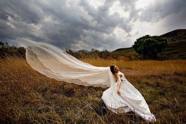 trash the dress