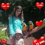 Andreia