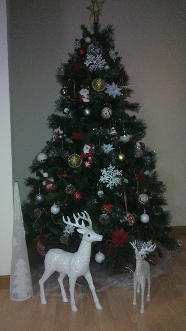 Nataaaaaaall - 1
