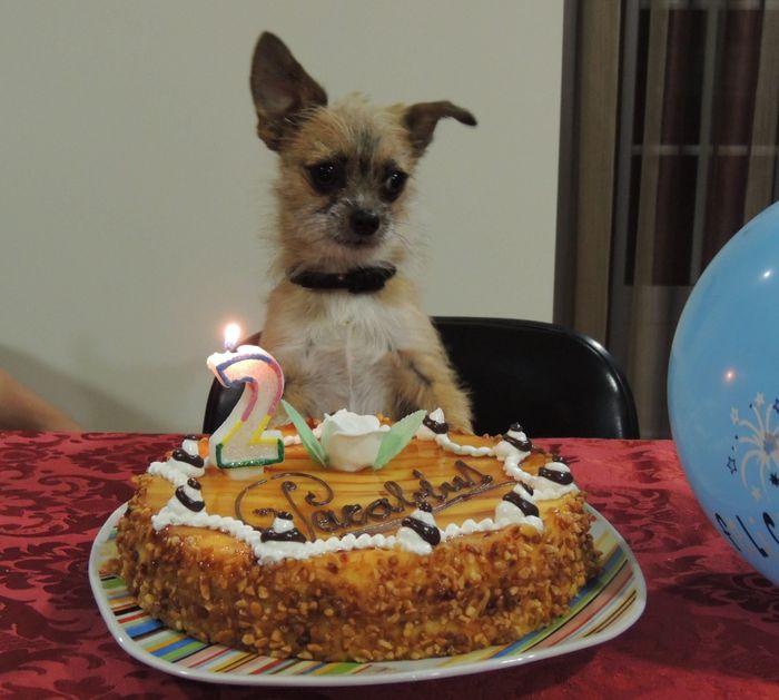 a minha Kika!