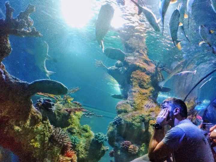 Malta national aquarium