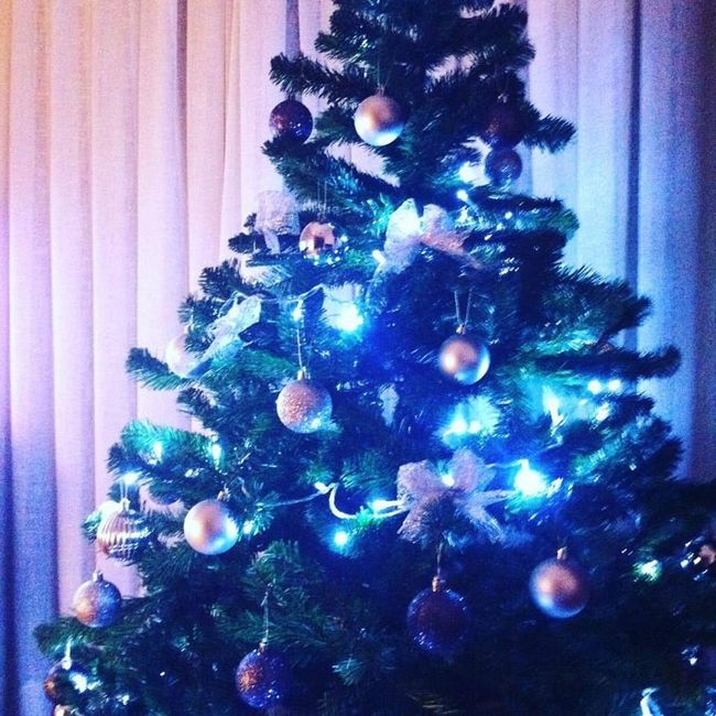 Primeira Árvore de Natal :) 