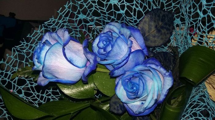 O meu pedido de casamento - 11