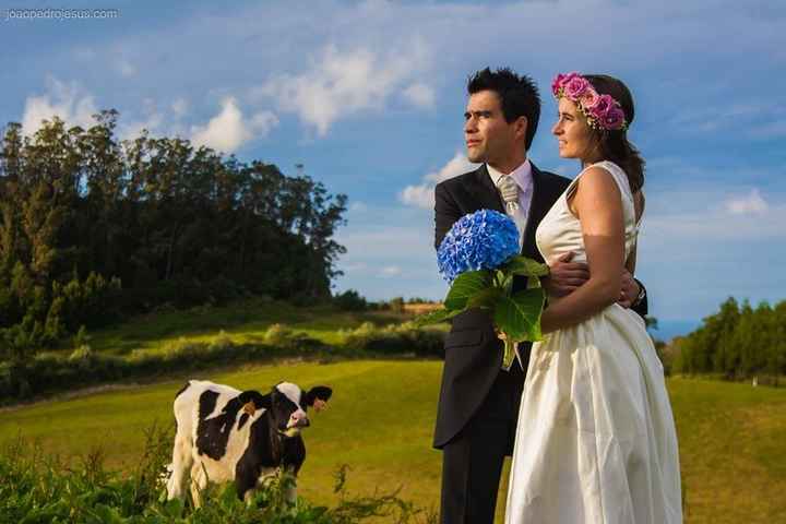 Invasão da propriedade alheia