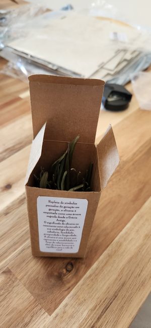 Caixas para as folhas de oliveira - o teste 4