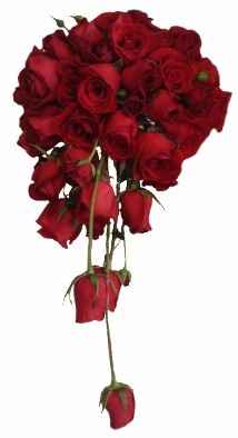 bouquet4