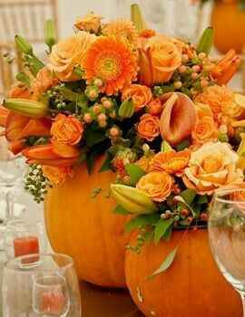  Casamento hallowen 👿 - 13
