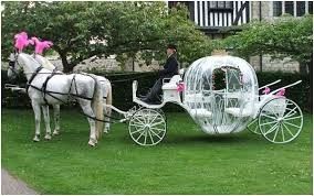 transporte 3