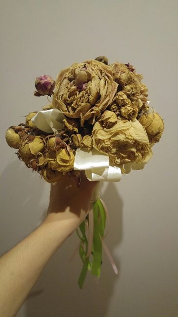 a minha bolacha da sorte é a número 6 1